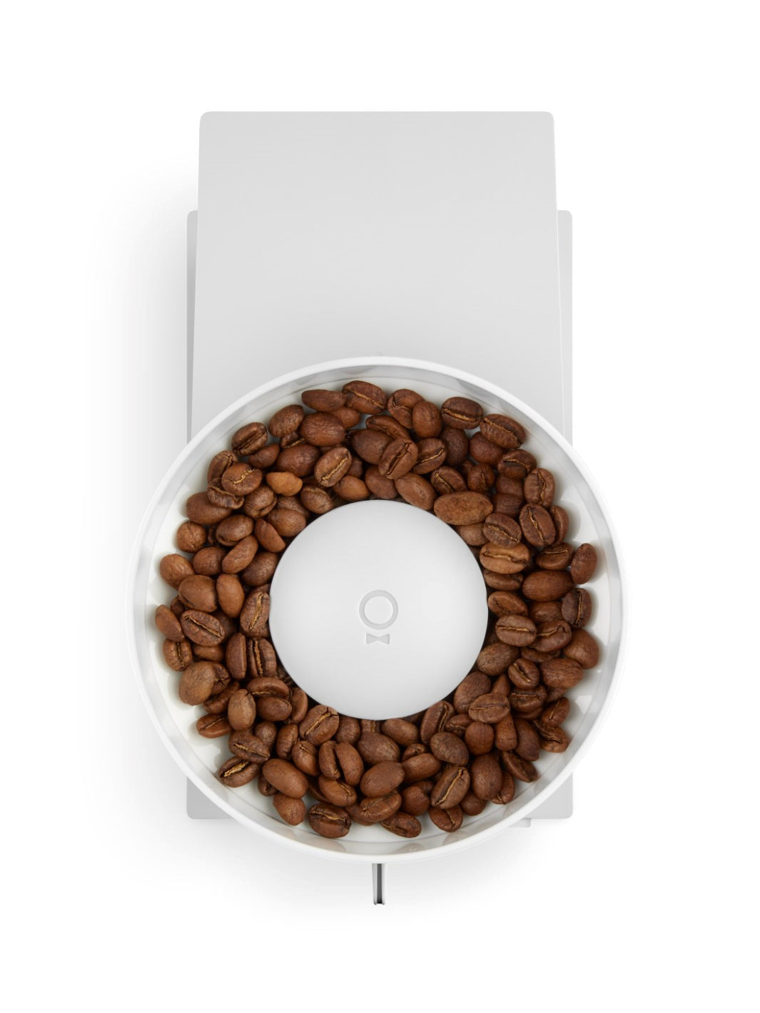 White coffee grinder filled with coffee beans on a white background
