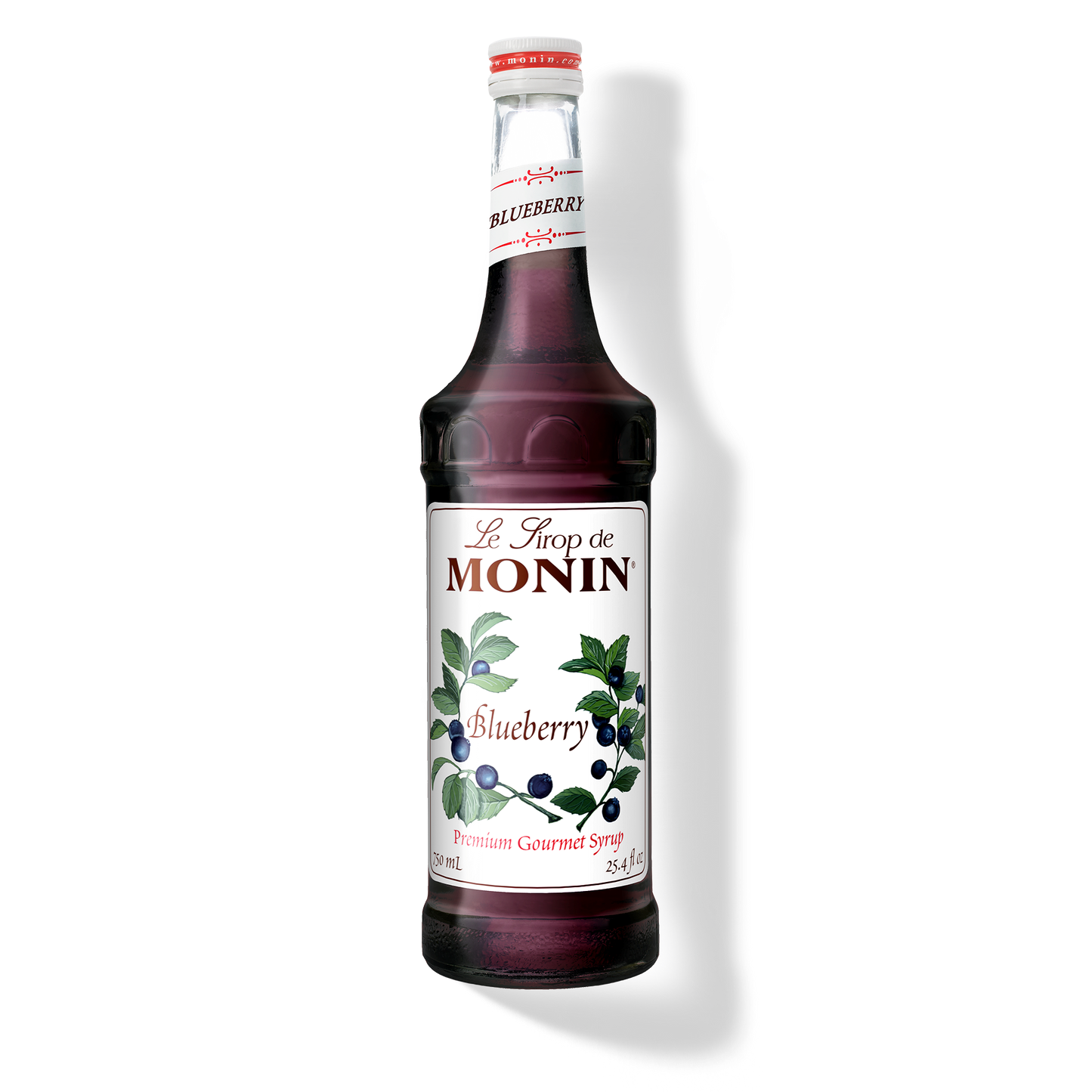 MONIN Blueberry Syrup
