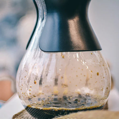 GROSCHE Austin G6 Pour Over Coffee Maker with Reusable Stainless Steel Filter