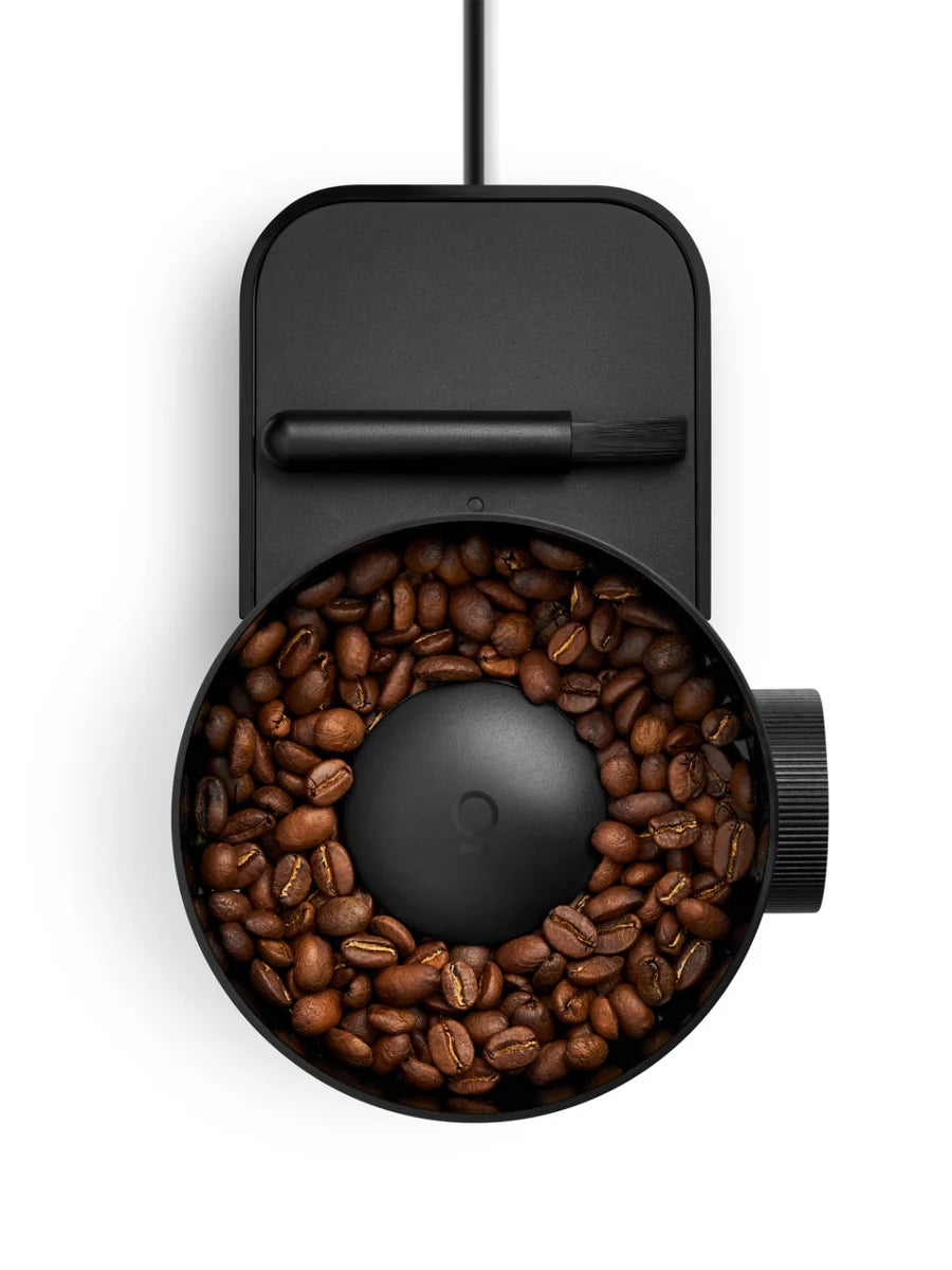 Black coffee grinder with coffee beans on a white background