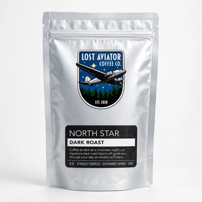 A silver stand-up coffee pouch for Lost Aviator Coffee Co. featuring a black label that reads 'NORTH STAR DARK ROAST' and a central logo with an airplane and trees, photographed on a clean white background.