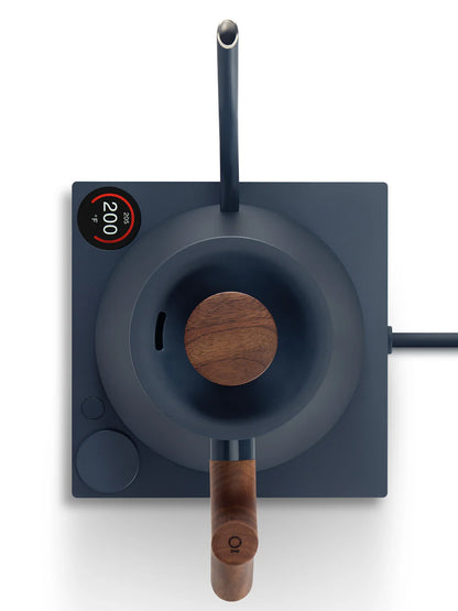 Modern electric gooseneck kettle with wooden handle on a white background